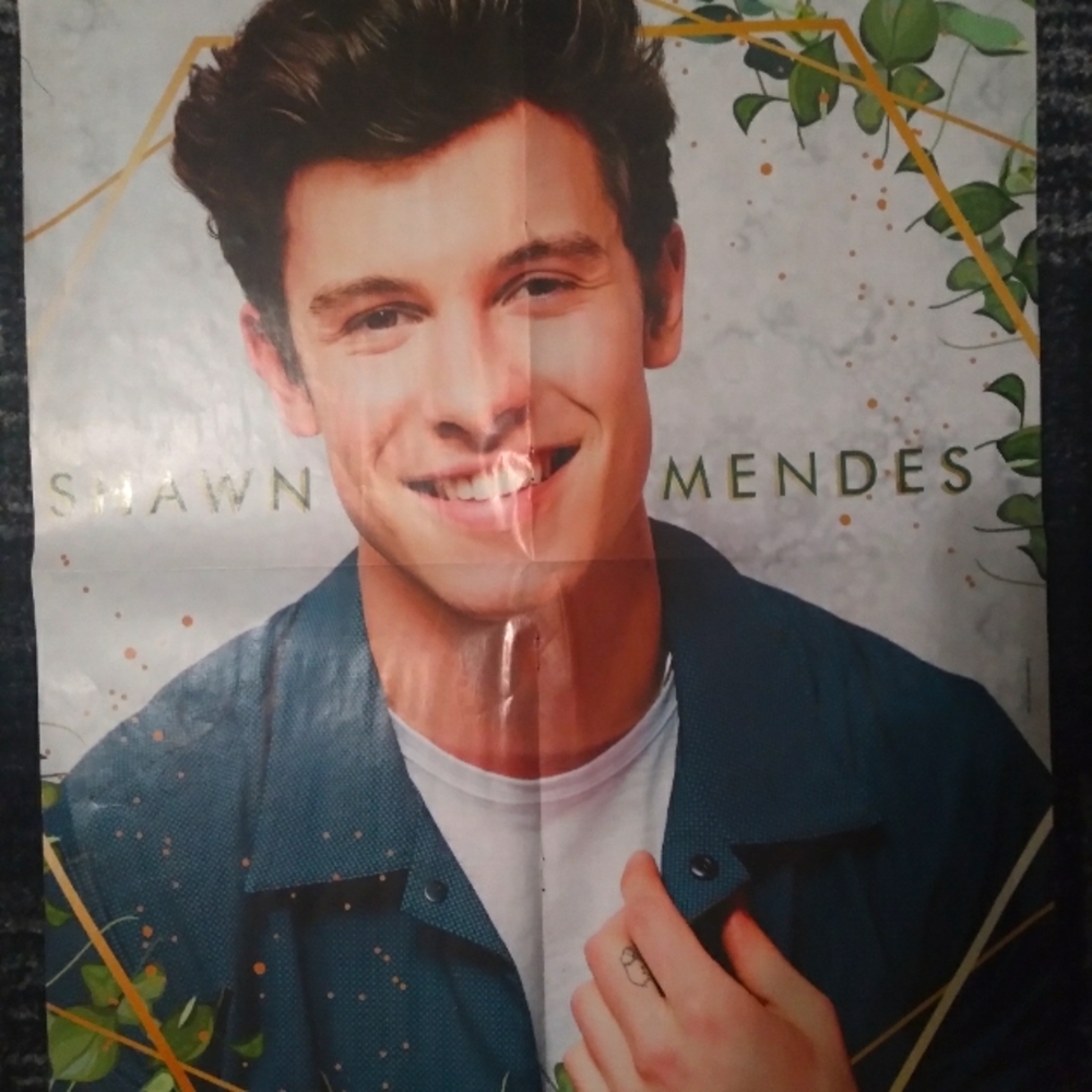 J-14 Large Shawn Mendes/PrettyMuch Poster